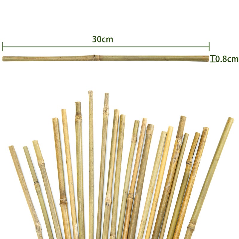 Pllieay 20pcs 12 Inch Plant Stakes, Garden Stakes, Bamboo Stakes, Plant Support Stakes for Indoor Plants, Tomato Stakes - Image 3