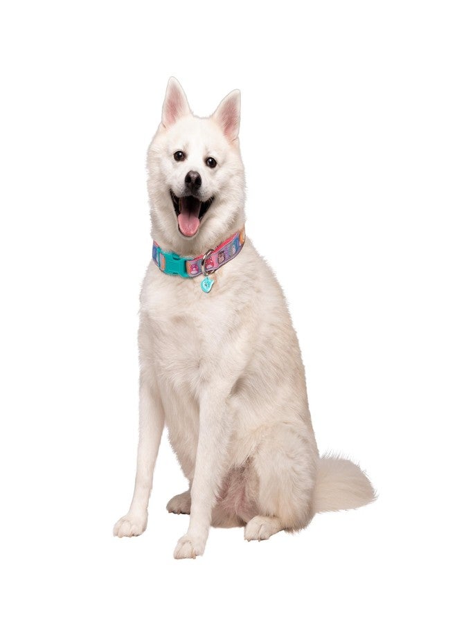 Squishmallows Original Squish Squad Pet Collar (Large) - Official Jazwares Pets Walking Apparel for Dogs - Image 1
