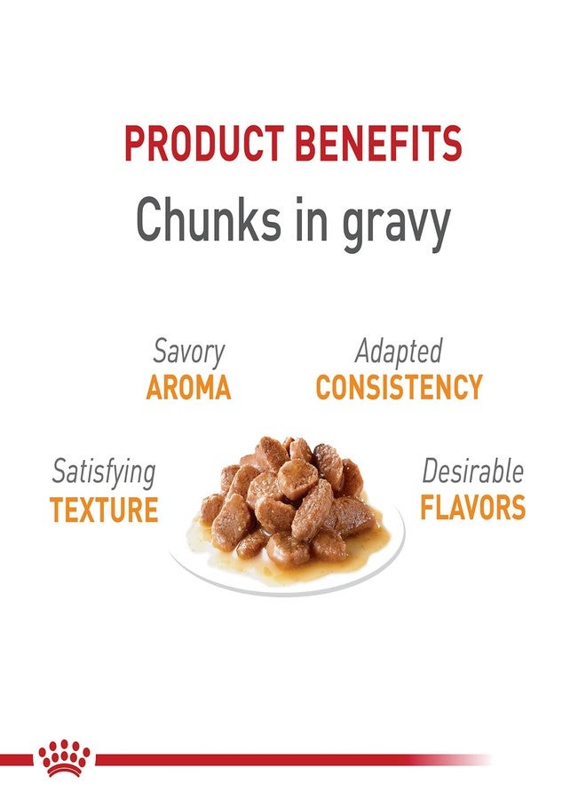 رويال كانين للعناية بالقطط، تغذية الشعر والبشرة، قطع كبيرة في مرق، 3 أونصة (عبوة من 12 قطعة) - Image 4