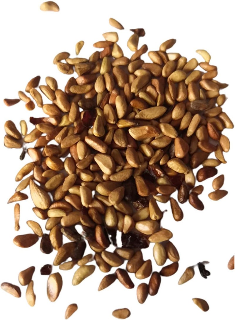 GGOOT Seed for Planting,100Pcs/Bag Rose Seeds Sweet High Germination Rate Multi-color Perennial Plant Bonsai Rose Flowers Seed for Yard Bonsai Seeds for-Creamywhite-rose seed - Image 1