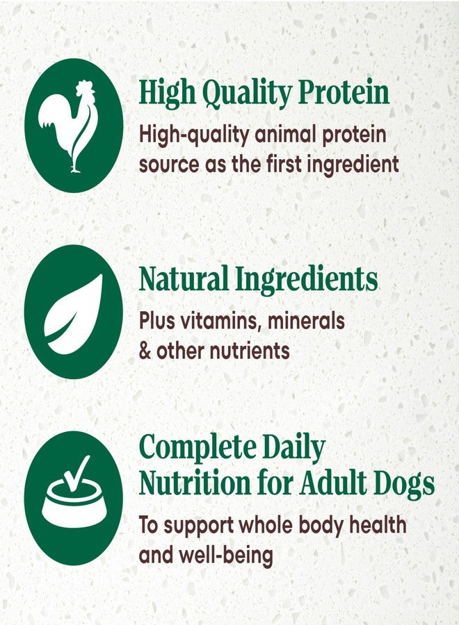 نوترو طعام الكلاب الرطب نوتريو ألترا الخالي من الحبوب، شرائح فيليه في مرق البط والديك الرومي المشوي، عبوة متنوعة، 3.5 أونصة، صواني (12 قطعة، عبوة واحدة) - Image 4