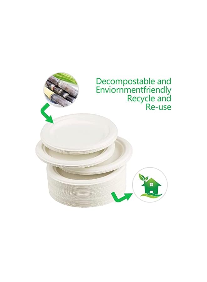 Raxoom Friendly Bagasse Biodegradable Plate 10 Inch Disposable, Made From 100% Sugarcane Plates, Natural Alternative To Paper Plate 25pcs - Image 4