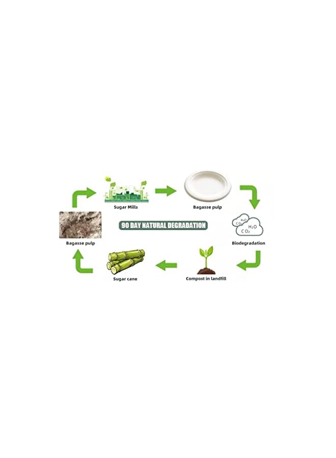 Raxoom Friendly Bagasse Biodegradable Plate 10 Inch Disposable, Made From 100% Sugarcane Plates, Natural Alternative To Paper Plate 25pcs - Image 3