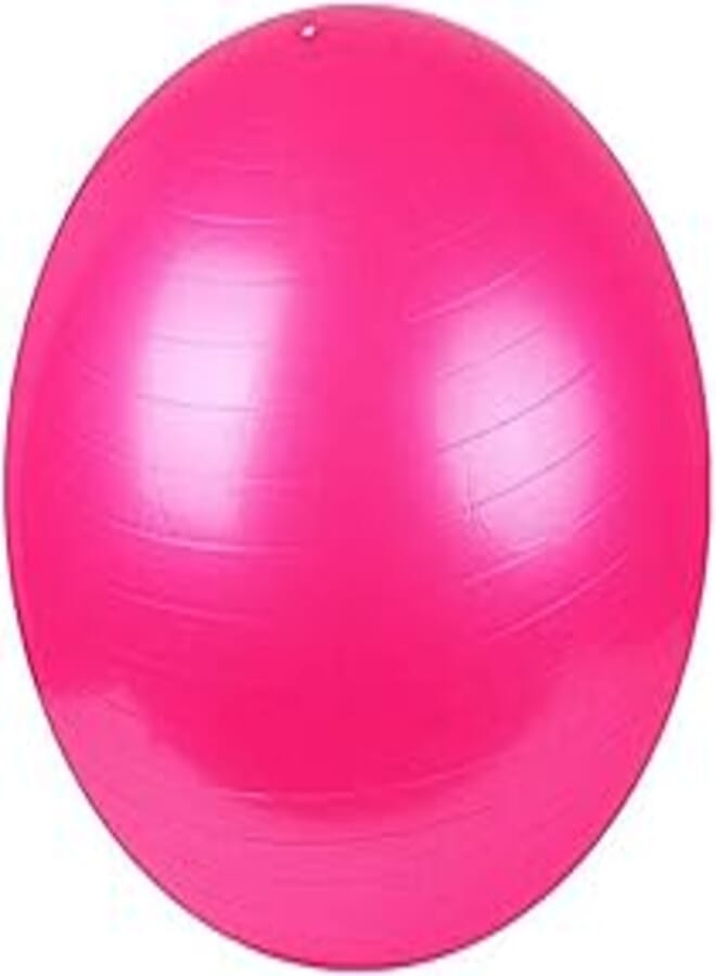 Pink color 65cm Exercise Fitness Aerobic Ball for GYM Yoga Pilates Pregnancy Birthing Swiss