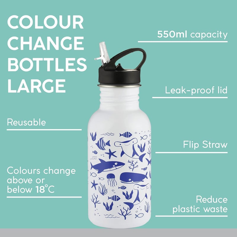 Typhoon Premium Stainless Steel Pure Colour Change Sealife Kids Bottle for thinKitchen, 550ML - Image 2