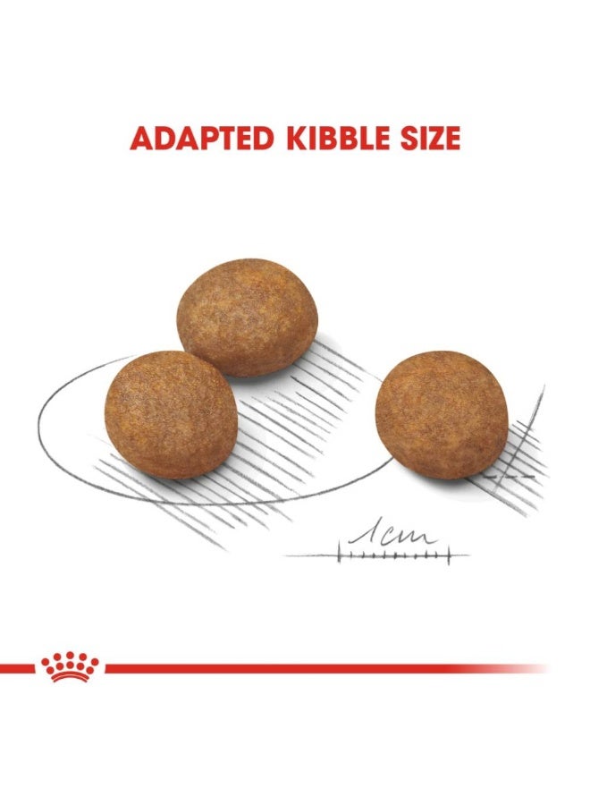 رويال كانين حجم التغذية الصحية ماكسي جرو - 10 كجم - Image 2