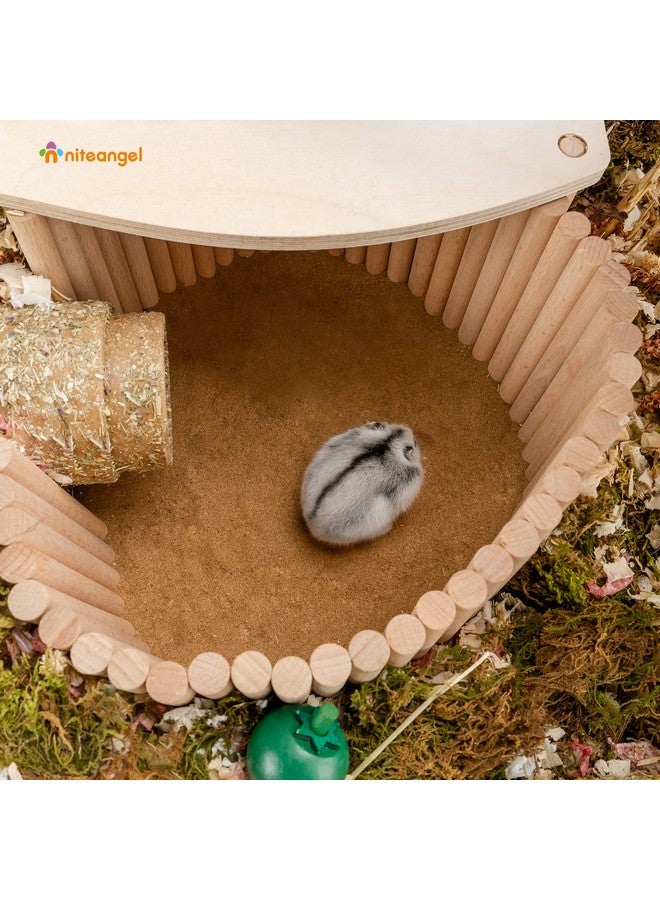 Niteangel Hamster Climbing Ladder Wooden Suspension Bridge for Guinea Pigs Rats Hedgehog Gerbils Mouse Sugar Glider and Other Small Animals (Medium) - Image 5