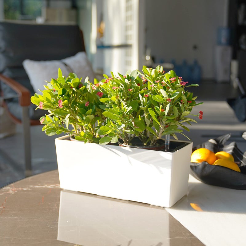 SAROSORA 14" Self Watering Planter Pots with Water Level Indicator, Rectangle Matte Plastic Window Box for Indoor Outdoor, Herbs Succulents Flowers House Plants (White) - Image 2