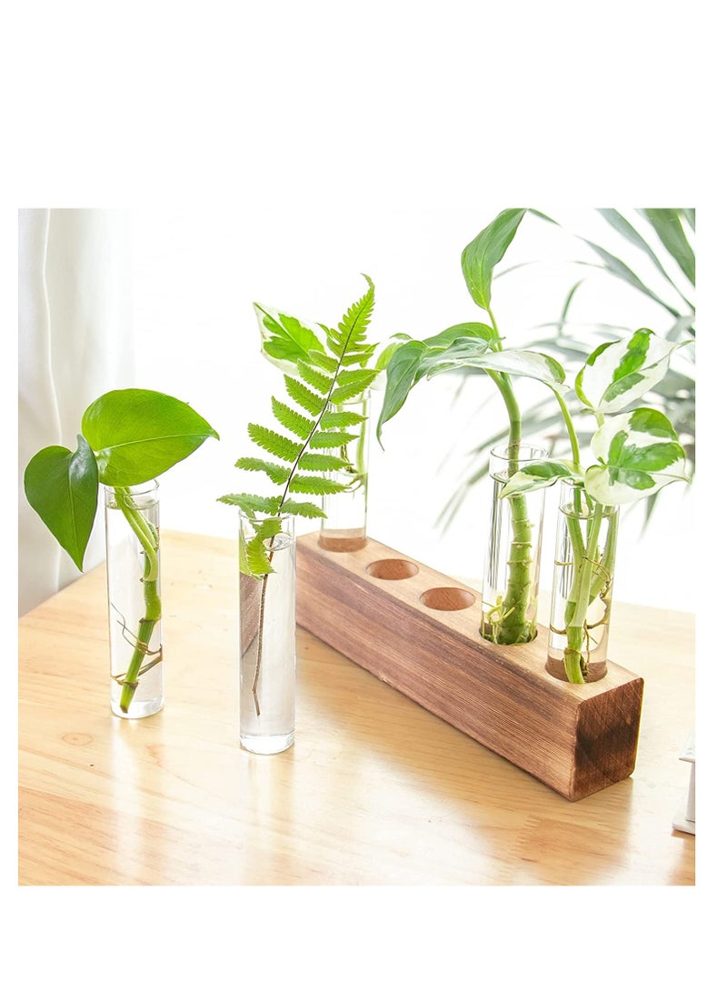 SYOSI Desktop Glass Plant Propagation Station 5 Test Tube Plant Terrarium in Wooden Stand for Hydroponic Plants Cutting Office Home Decoration - Image 2
