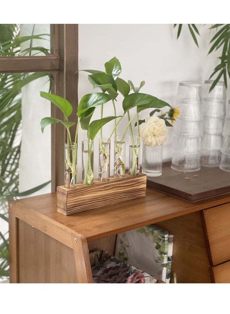 SYOSI Desktop Glass Plant Propagation Station 5 Test Tube Plant Terrarium in Wooden Stand for Hydroponic Plants Cutting Office Home Decoration - Image 4