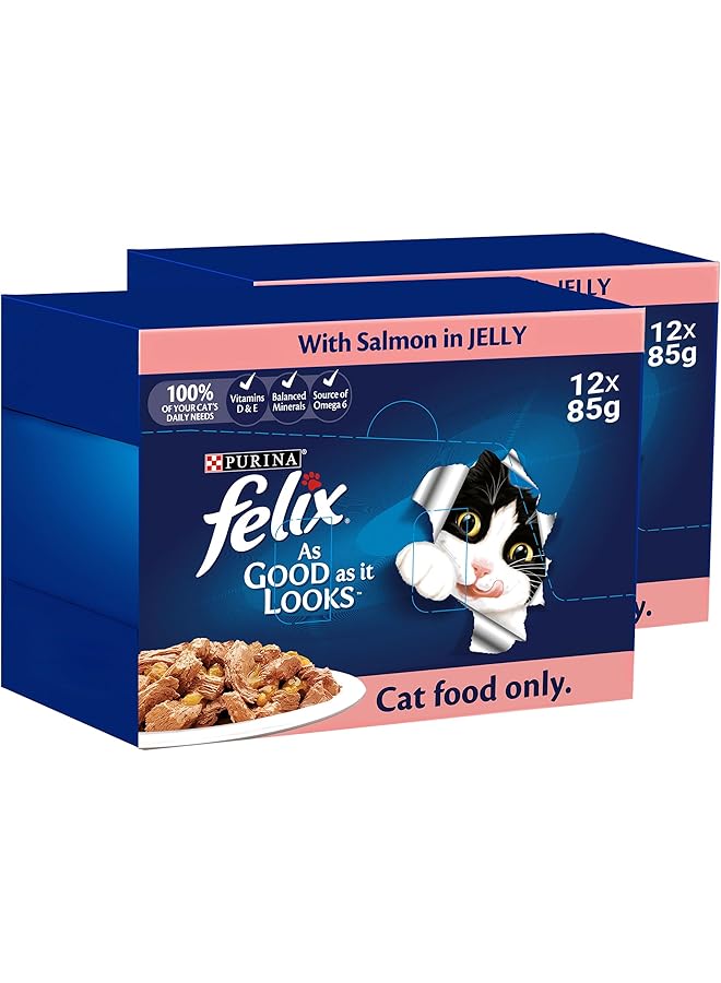 Felix As Good As It Looks Adult Cat With Salmon In Jelly 85G Pack Of 24 - Image 1