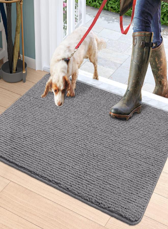 DEXI Door Mat Entryway Doormat Front Entrance Non-Slip Low Profile Washable for Inside Entry 19.5"x31.5",Grey