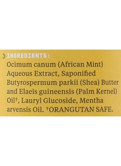 Alaffia Authentic African Black Soap Allinone Body Wash Shampoo And Shaving Soap For All Skin And Hair Types Fair Trade No Parabens Nongmo No Sls Peppermint 16 Ounce  - Image 5