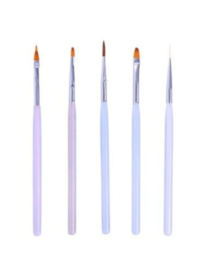 Professional Nail Art Design Brush Set, 5 Pieces