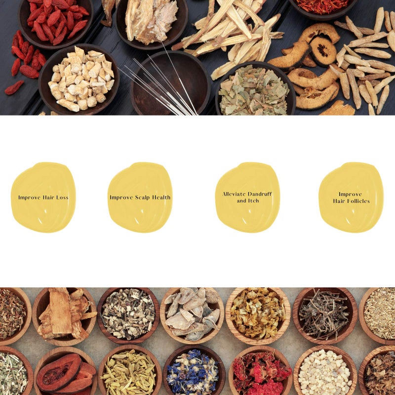 DAENG GI MEO RI داينغ جي ميو ري - كي جولد - مجموعة الشامبو والعلاج الفاخرة لتساقط الشعر، الشعر الرقيق، والوقاية من الشعر الرمادي، شامبو عشبي طبي، طبيعي بالكامل، العلامة التجارية رقم 1 في كوريا - Image 4