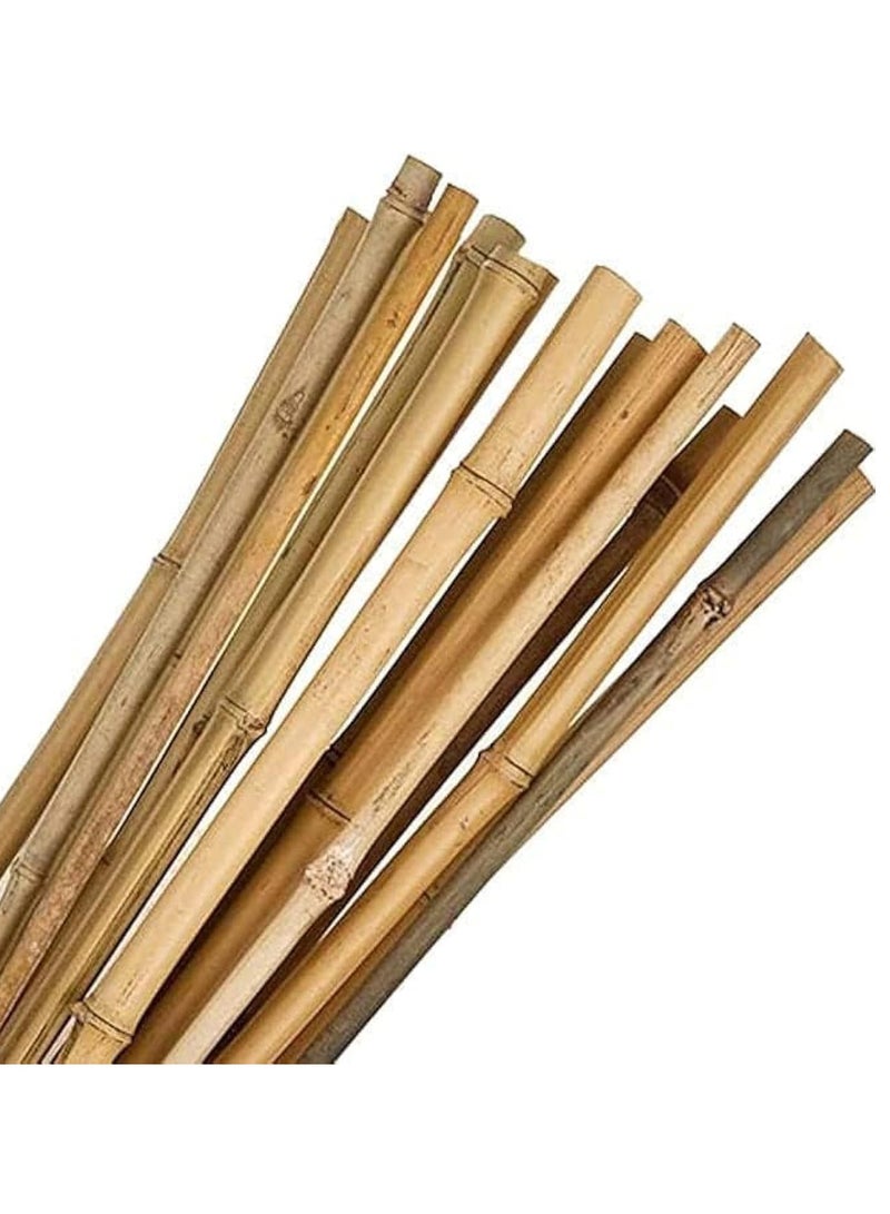 HOME TASTE Bamboo Plant Support Stakes Natural Bamboo Poles for Plant Support Strong Garden Stakes for Indoor & Outdoor Use 60 cm - 10 Piece  - Image 1