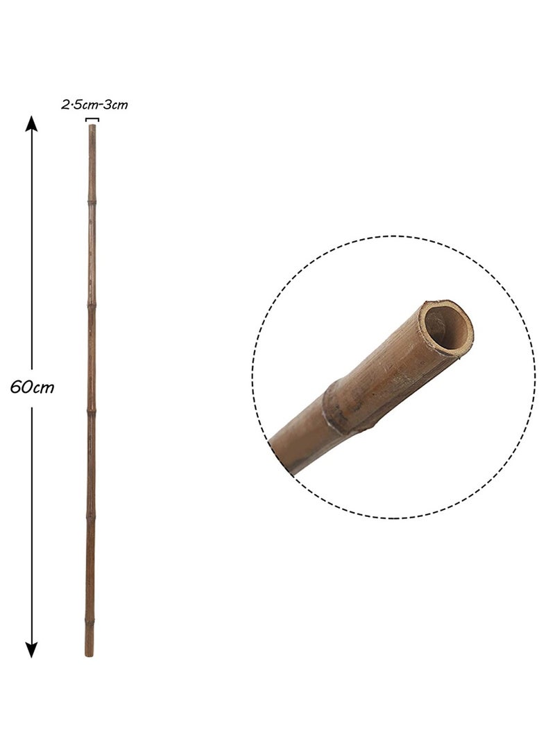 HOME TASTE Bamboo Plant Support Stakes Natural Bamboo Poles for Plant Support Strong Garden Stakes for Indoor & Outdoor Use 60 cm - 10 Piece  - Image 2
