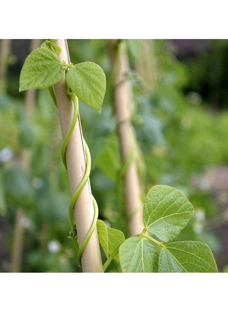 HOME TASTE Bamboo Plant Support Stakes Natural Bamboo Poles for Plant Support Strong Garden Stakes for Indoor & Outdoor Use 60 cm - 10 Piece  - Image 4