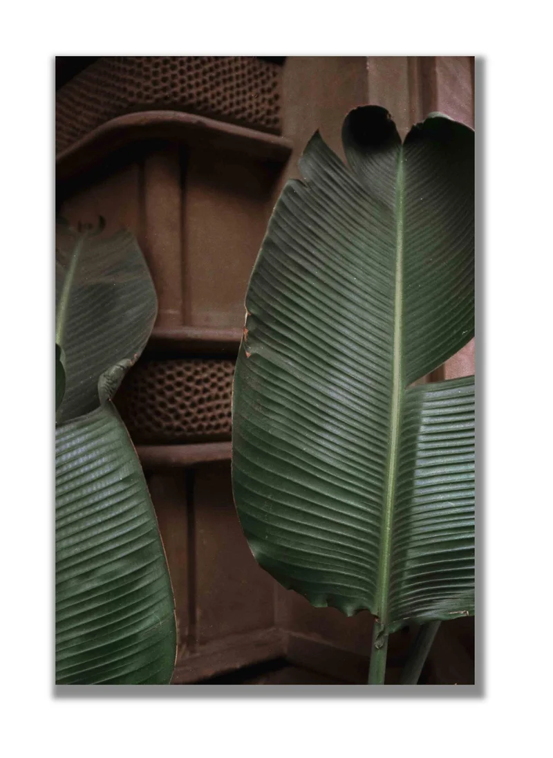 Drawdeck Leaves In Barcelona