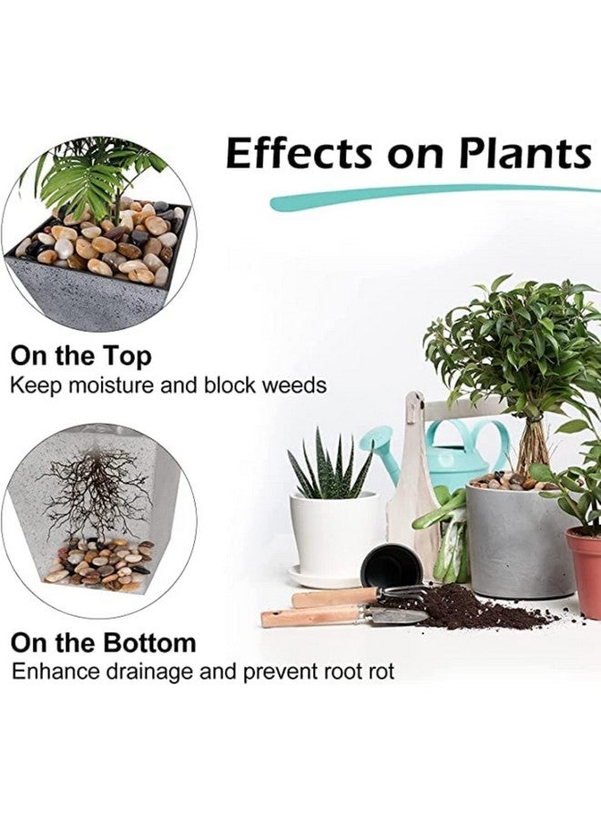 كرات الكريستال اللامعة متعددة الألوان - (كريستال الكاجو، 900 جرام) (1.5 سم - 2.5 سم) حجر زخرفي لحشو المزهريات، وأحواض السمك، وطاولات الحفلات، وحفلات الزفاف، والاستخدامات متعددة الأغراض - Image 5