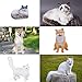 SIENON 12Pcs Dog and Cat Animal Toys Mini Cute Plastic Puppy Kitten Pet Model for Kids Educational Preschool Learning Christmas Birthday Party Favors Cake Topper Diorama - Image 4