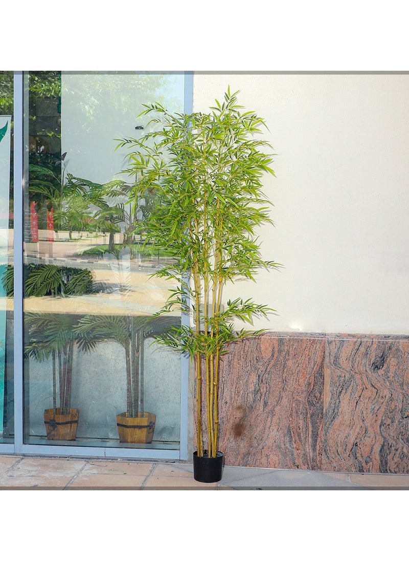 YATAI Artificial Bamboo Tree Realistic Plants Fake Decorative Trees Faux Potted Modern Tree with Lifelike Bamboo Leaves and Branches in Nursery Pot for Home Office (210 Cm) - pzsku/ZB42A23F9466E85A9C900Z/45/_/1704443850/669081b4-c317-4454-9de3-8235db307ed1