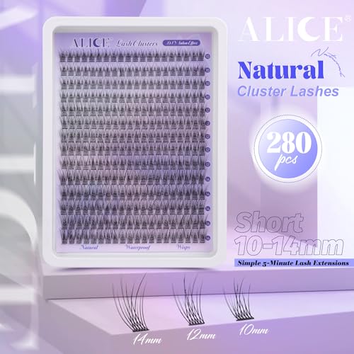 Alice Natural Lash Clusters Wispy Lash Extensions Short 10-14mm DIY Cluster Eyelash Extension C-Curly 280pcs Soft Thin Band Individual Lashes by ALICE - Image 2