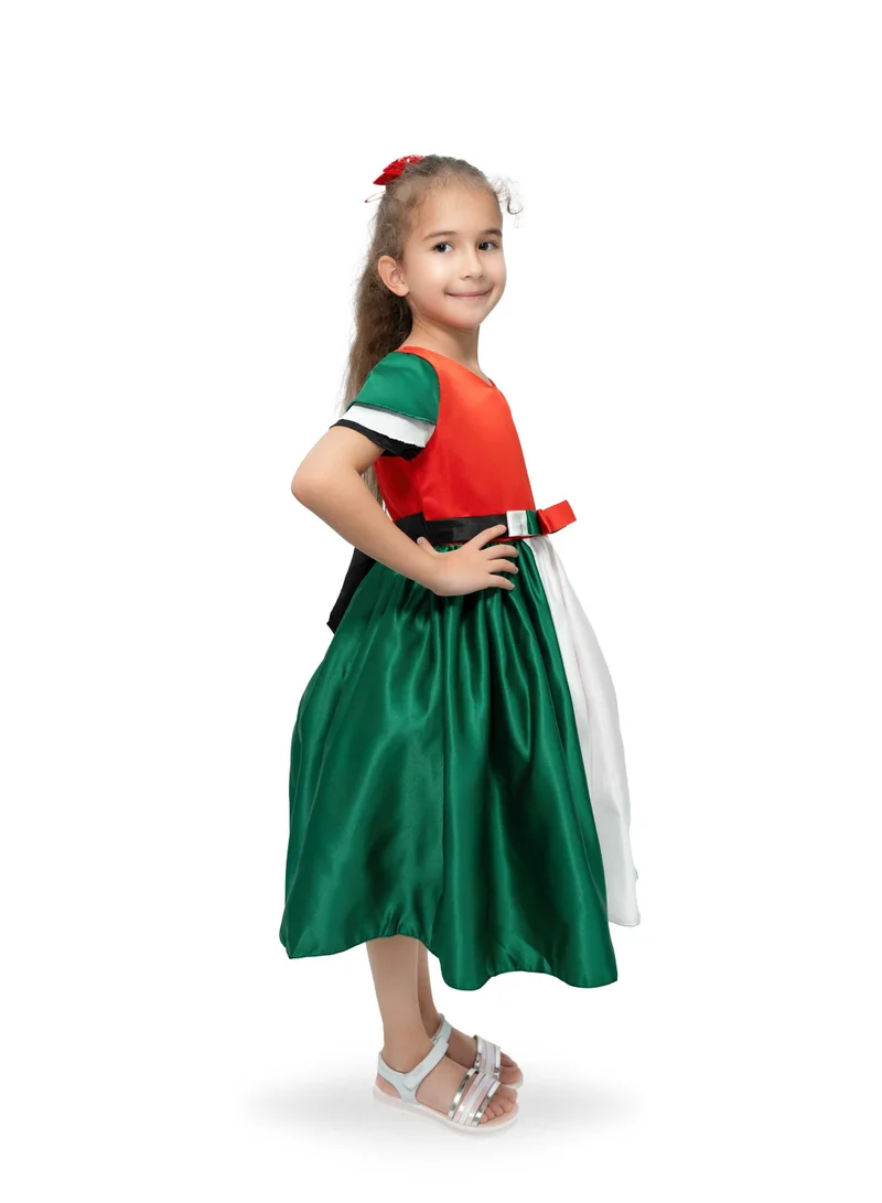 D'Daniela Flag Inspired Dress