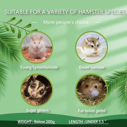 kcrygogo Tiny Hamster Maze Wood House Fun Slide House Double-Decker Hut for Dwarf Gerbil Mouse Mice Rat Small Animals(Only for Small Hamster) - Image 4