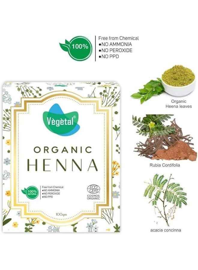 فيجيتال مسحوق الحناء النباتي العضوي المعتمد، لتلوين الشعر بشكل طبيعي، ومنع الشيب المبكر وحماية الشعر من التلف الناتج عن صبغات الشعر الكيميائية - 100 غرام (عبوة من قطعتين) - Image 3