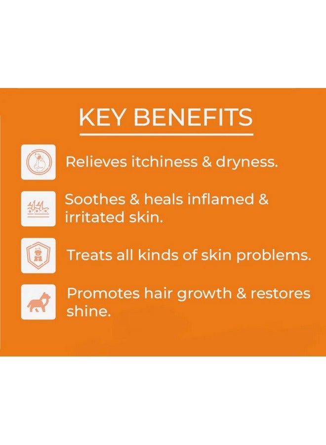 Generic Swacch Shampoo Specially Formulated for Spitz (1 Litre) Neem Alovera - Image 4