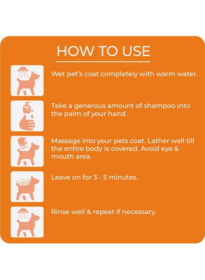 Generic Swacch Shampoo Specially Formulated for Spitz (1 Litre) Neem Alovera - Image 3