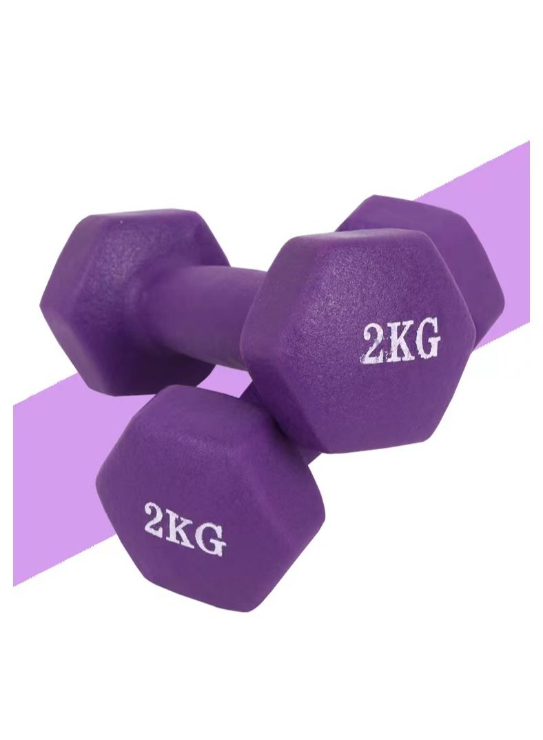 Generic Neoprene Dumbbells Weights Exercise-2KG*2  - Image 1
