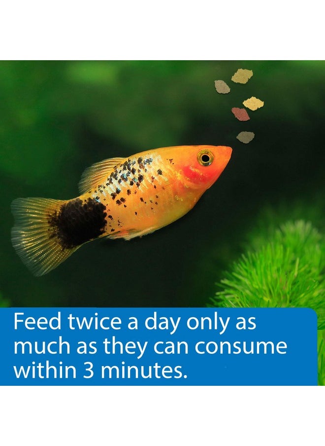 API API TROPICAL FLAKES Fish Food 1.1-Ounce Container  - Image 3