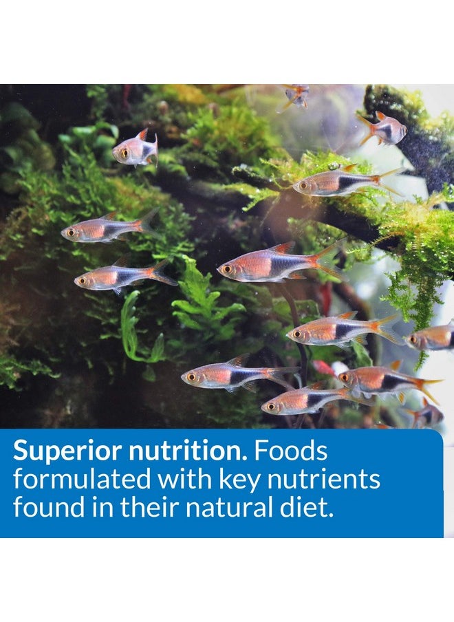 API API TROPICAL FLAKES Fish Food 1.1-Ounce Container  - Image 5