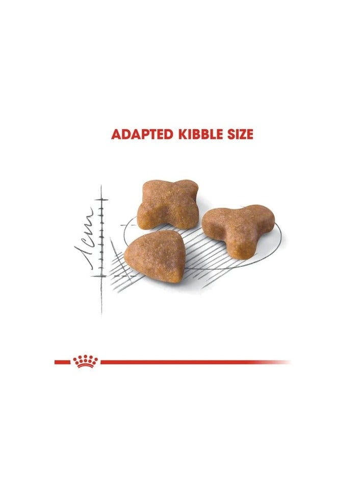 Royal Canin Sensible 33 Dry Cat Food (2 kg) - Image 3