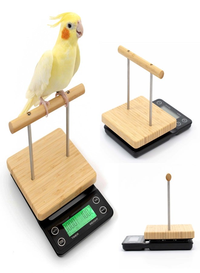 NEOUZA Perch-Mounted Pet Bird Scale, Parrot Weight Scale with Perch, Weight Change Monitoring, Suitable for Parrot, Canaries, Budgerigars, Cockatiels, Society Finches - Image 4