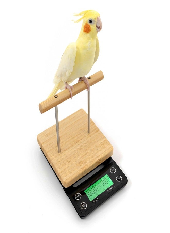 NEOUZA Perch-Mounted Pet Bird Scale, Parrot Weight Scale with Perch, Weight Change Monitoring, Suitable for Parrot, Canaries, Budgerigars, Cockatiels, Society Finches - Image 1