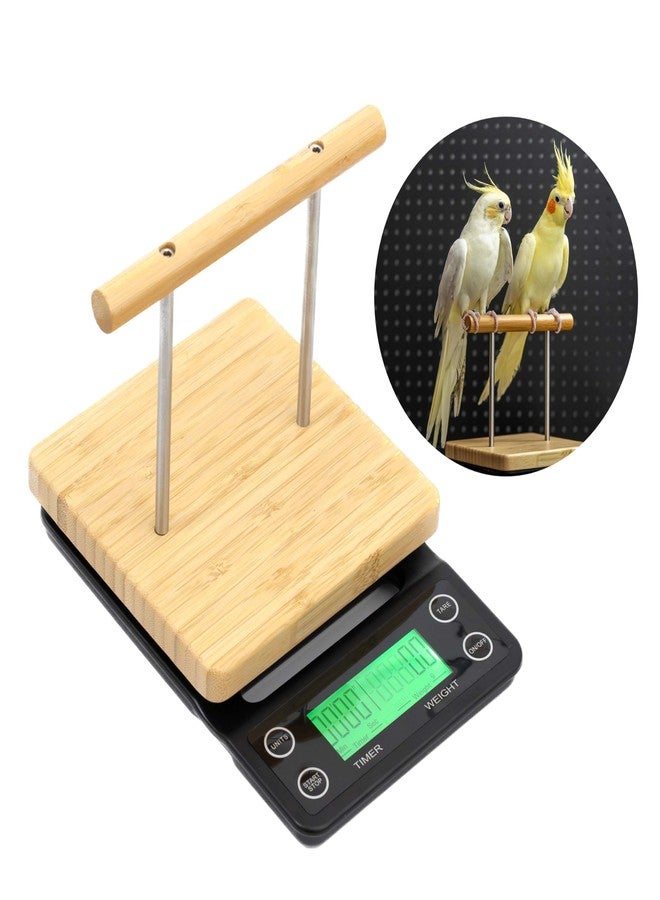 NEOUZA Perch-Mounted Pet Bird Scale, Parrot Weight Scale with Perch, Weight Change Monitoring, Suitable for Parrot, Canaries, Budgerigars, Cockatiels, Society Finches - Image 2