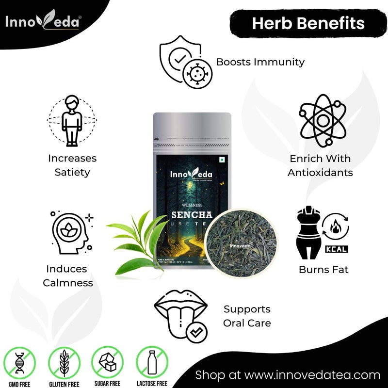 INNOVEDA Sencha Green Energizing Tea, Antioxidants Rich 28 Tea Cups - Image 2