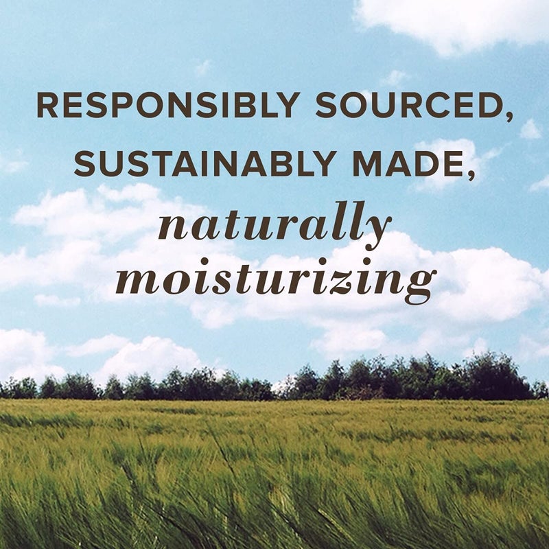 مجموعة مرطب شفاه بنكهة المانجو مكونة من قطعتين - Image 3