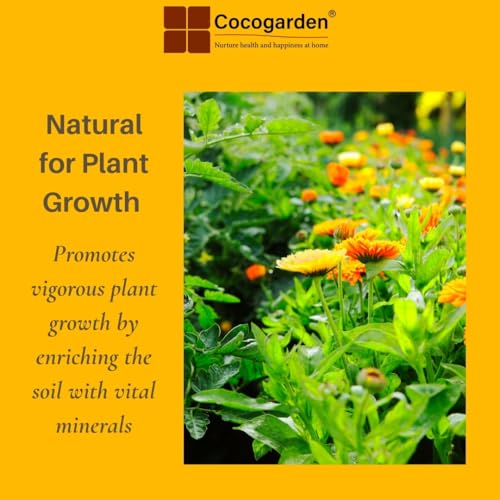 Cocogarden Organic Potting Soil Mix 2kg | Ready-to-Use Enriched Growing Medium for Plants | Promotes Strong Roots, Keeps Soil Hydrated Longer & Supports Healthy Growth - Image 5