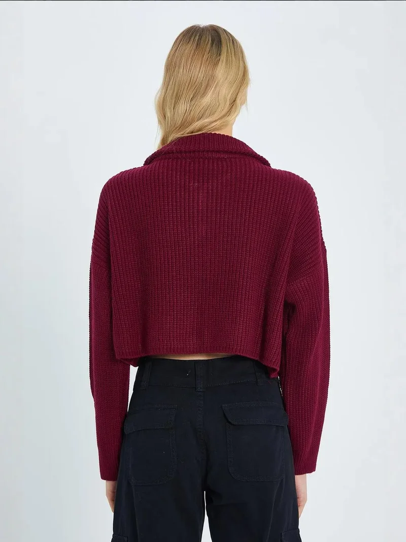Mixray Burgundy Red Mixray Textured Long Sleeve Zipped Collar Sweater for Women | Best Price UAE