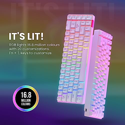 Portronics Hydra 10 Mechanical Wireless Gaming Keyboard with Bluetooth 5.3 + 2.4 GHz, RGB Lights 16.8 Million Colors, Type C Charging, Compatible with PCs, Smartphones and Tablets(Blue) - Image 3