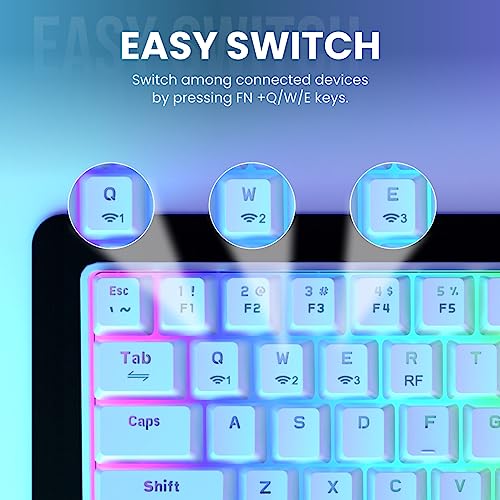 Portronics Hydra 10 Mechanical Wireless Gaming Keyboard with Bluetooth 5.3 + 2.4 GHz, RGB Lights 16.8 Million Colors, Type C Charging, Compatible with PCs, Smartphones and Tablets(Blue) - Image 5