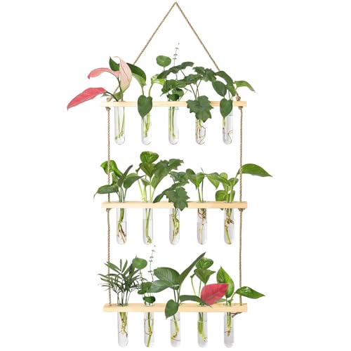 XXXFLOWER Wall Hanging Propagation Station with Wooden Stand 5 Glass Test Tubes 3 Tiered Planters Wall Terrarium for Home Office Plant Hanger Flower Vases Wall Decor Hydroponic Cuttings - Image 1