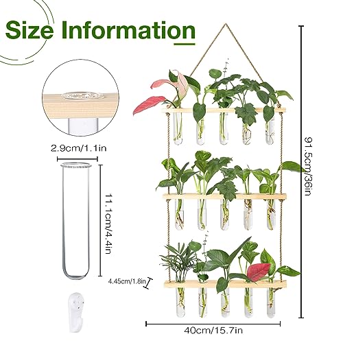 XXXFLOWER Wall Hanging Propagation Station with Wooden Stand 5 Glass Test Tubes 3 Tiered Planters Wall Terrarium for Home Office Plant Hanger Flower Vases Wall Decor Hydroponic Cuttings - Image 2