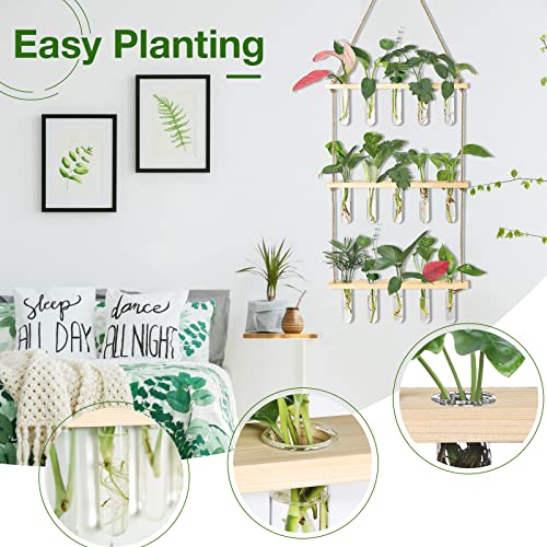 XXXFLOWER Wall Hanging Propagation Station with Wooden Stand 5 Glass Test Tubes 3 Tiered Planters Wall Terrarium for Home Office Plant Hanger Flower Vases Wall Decor Hydroponic Cuttings - Image 3