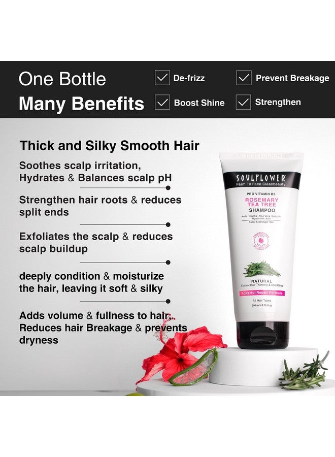 Soulflower Rosemary Shampoo For Hair Growth, Anti Hair Fall, Stronger, Shiny & Long Hair & Healthy Scalp With Tea Tree, Pro Vitamin B5 | Men & Women | 200 Ml - Image 3