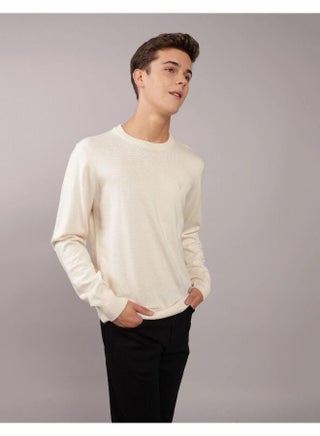 AE Crew Neck Sweater - pzsku/ZB436CE53AD66BA99260FZ/45/1753961703/fac9eef4-594e-4f6b-84a8-391e3517d50f